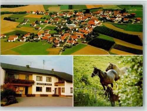 Sünzhausen Luftaufnahme Gesamtansicht Gasthof Schick Pferde 3-Bildaufnahme