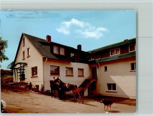 Oberhaid Mausmühle Pferde