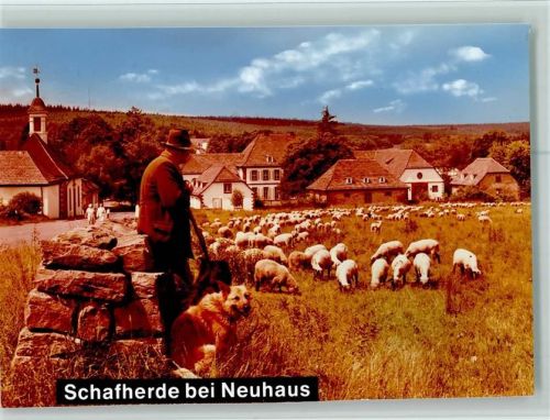 Neuhaus Schäfer und Schäferhund