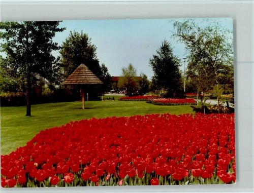 Viernheim Tulpenfeld