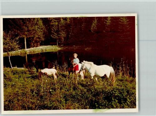 35236 W3565 Boxbach , Kr Biedenkopf FOTO KEINE AK Mädchen mit weissem Pony