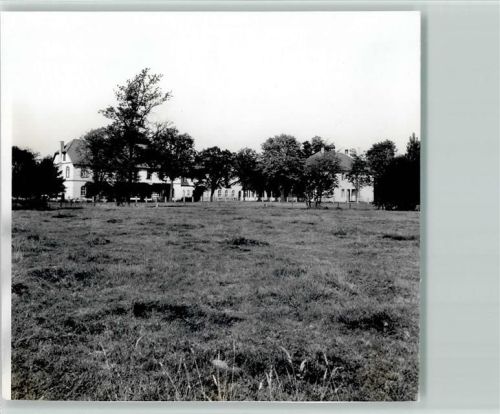 48480 W4441 Schapen , Emsl - Foto TK80