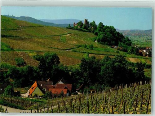 Ortenberg Weinberge Schloss Ortenberg