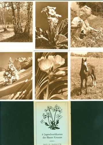 Jugendwerkkarten d. Blauen Kreuzes Lot mit 6 AK Serie, vor 1970, beste Erhaltung, nicht gelaufen