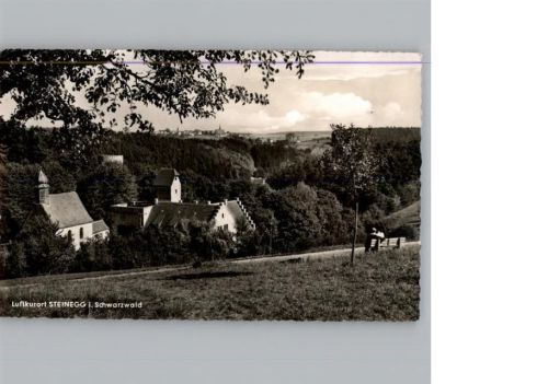 Steinegg