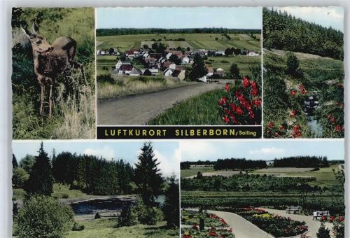 Silberborn