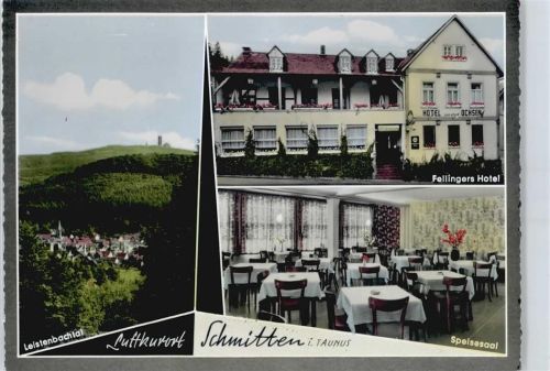 Schmitten Hotel Fellingers