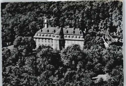 Liebenburg Schloss Wald Fliegeraufnahme