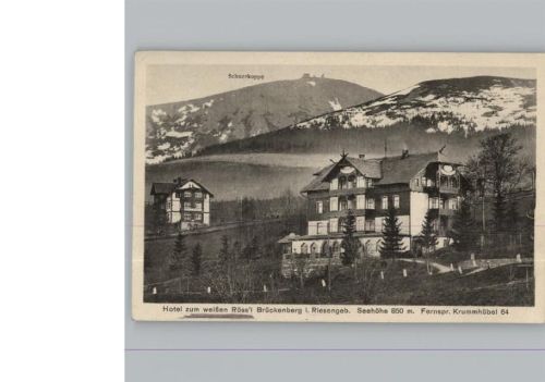 Brückenberg Hotel zum weißen Rössl