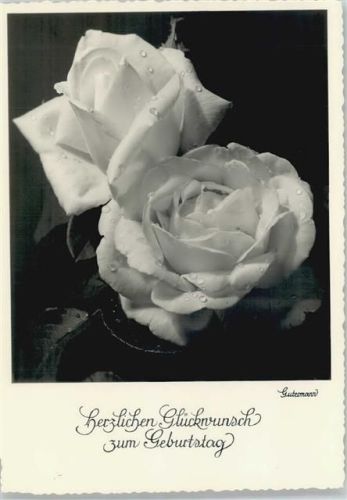 Seerosen , Gutermann Foto