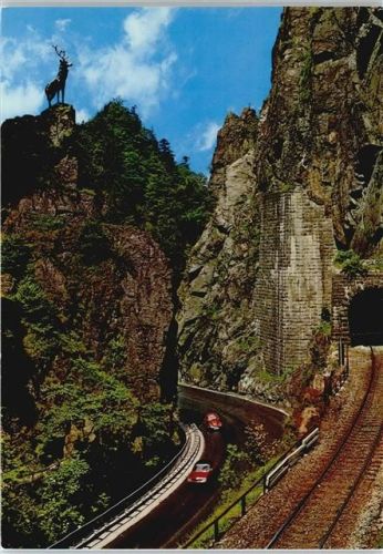 Falkensteig Hirschsprung