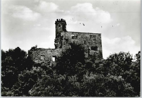 Nörten-Hardenberg Burgruine Baum