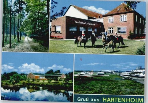 Hartenholm Flugzeug Pferd Baum Haus Wiese See