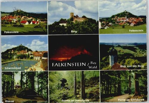 Falkenstein Burg Berg Schwimmbad Wald