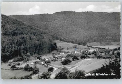 63936 W8761 Zittenfelden - Gesamtansicht