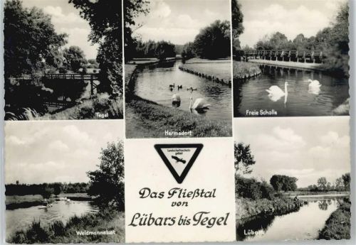 Tegel Fluss Schwan Brücke