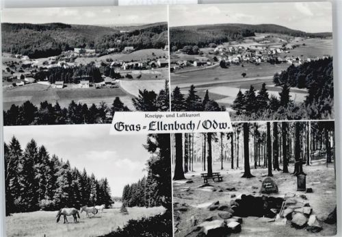 Ellenbach Panorama Wald Pferd