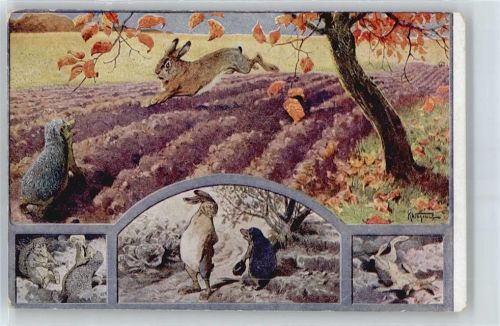 Märchen Nr. 308 sign K. Wagner Der Hase und der Igel AK Der Hase und der Igel Künstlerkarte
