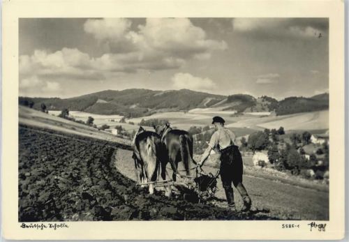 Feldarbeit, Pferde