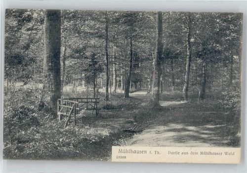 Mühlhausen Partie aus dem Mühlhauser Wald