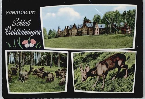Waldleiningen Sanatorium Schloß Waldleinigen