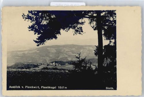Rein Pleschkogel