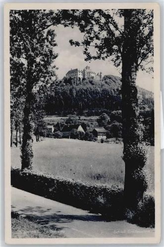 Heilbad Heiligenstadt Schloß Greifenstein AKU2