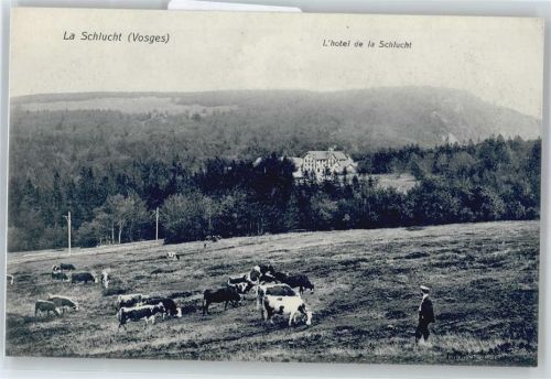 Xonrupt-Longemer Hotel de la Schlucht