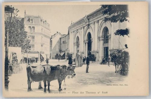 59310 Aix - Place des Thermes , Kühe