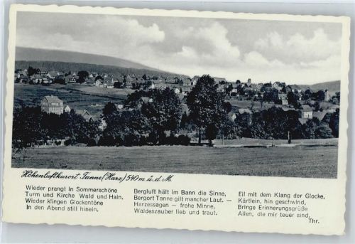 Tanne Panorama