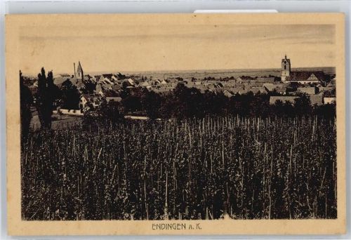 79346 W7833 Endingen am Kaiserstuhl - Gesamtansicht