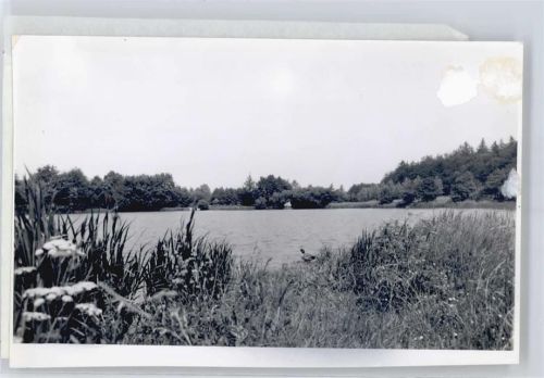 Harsefeld Foto mit Negativ