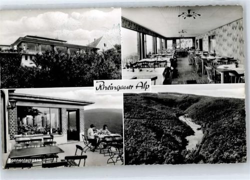 Presberg Gasthaus zur Rheingauer Alp
