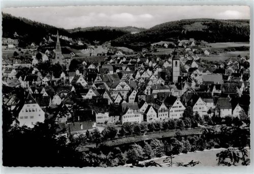 Nagold Gesamtansicht