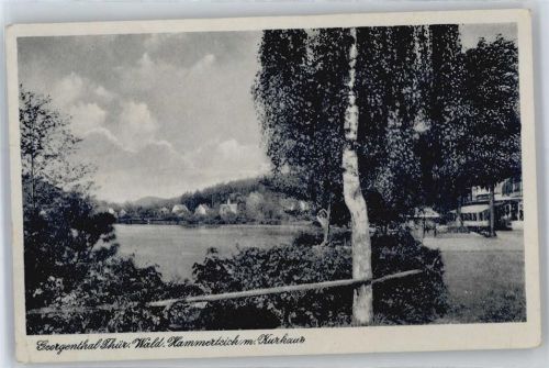 99887 O5805 Georgenthal , Thüringerw - Hammerteich