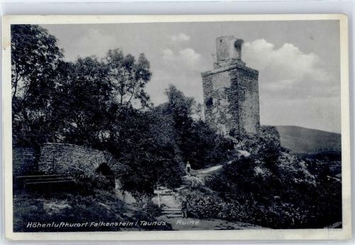 Falkenstein Ruine
