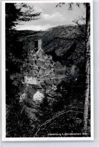 Manderscheid Niederburg