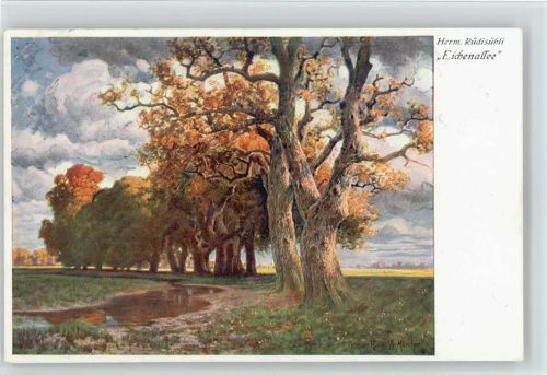 1918 sign Herm. Rüdisühli Verlag Meißner & Buch Serie 2325 Natur Landschaft Bäume