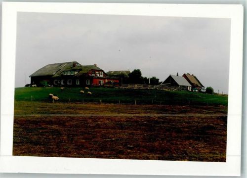 25863 W2251 Langeneß FOTO KEINE AK