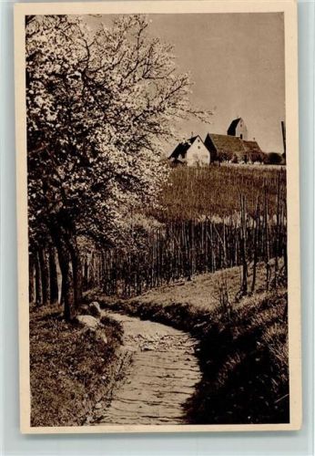 79576 W7858 Ötlingen - Ortsaufnahme Weinberg
