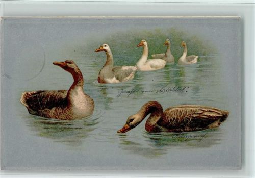 Gänse