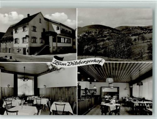 Dilsberg Gasthaus Pension Zum Dilsbergerhof Innenaufnahmen Gastraum Ortsansicht 4-Bildaufnahme