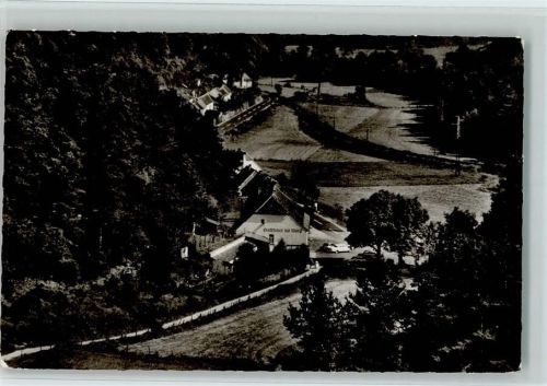 Altleiningen Luftaufnahme Gasthaus Zur Burg