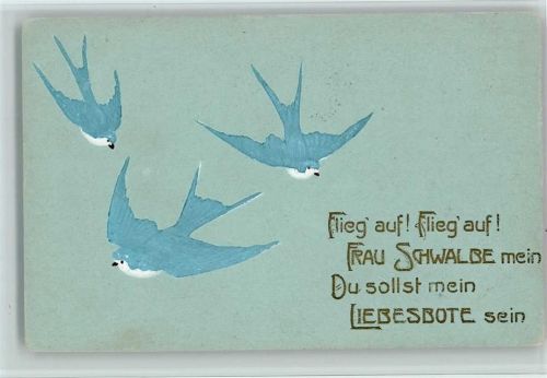 1906 Poesie Spruch, Schwalben - Verlag Edgar Schmidt Serie 213 AK