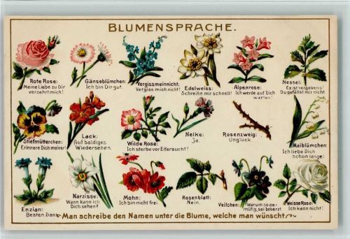 Verlag Guggenheim 9235 - AK Blumensprache Prägedruck