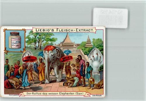 Der Kultus des weissen Elefanten in Siam - Sammelbild Liebig