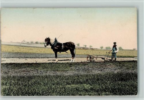 Pferdegspann , Bauer mit Pflug AK Tiergespann 1916