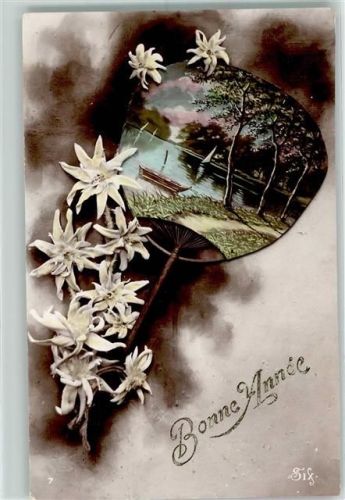 1911 Bonne Anne Verlag SIX Nr. 7 Edelweiß Fächer AK