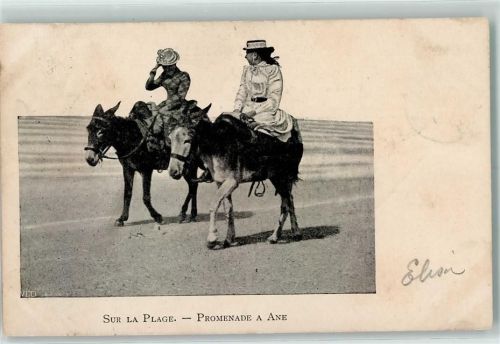 1901 Touristen reiten auf einem Esel AK