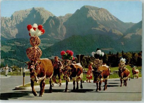 Schönau Almabtrieb mit Göll und Brett Kühe Blumenschmuck